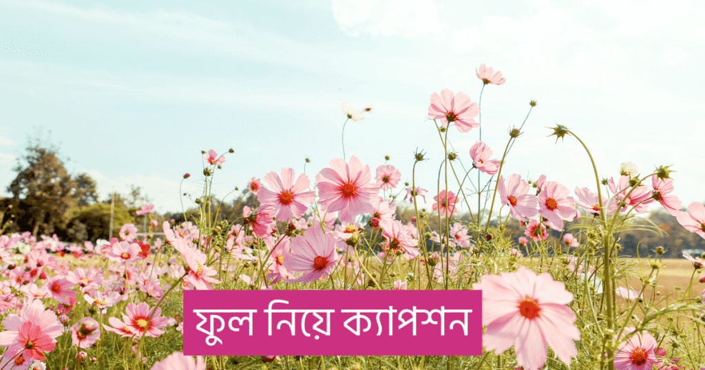 ফুল দিয়ে ক্যাপশন