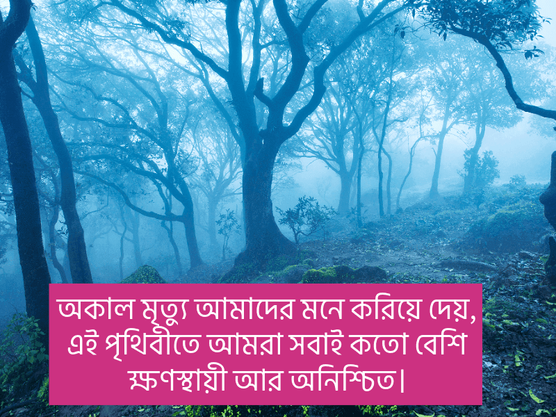 অকাল-মৃত্যু-নিয়ে-স্ট্যাটাস