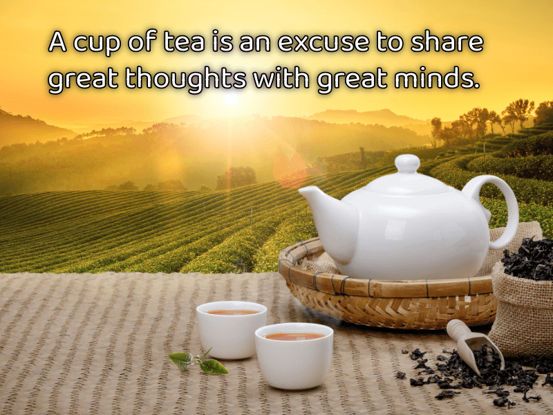 চা-নিয়ে-ইংলিশ-ক্যাপশন