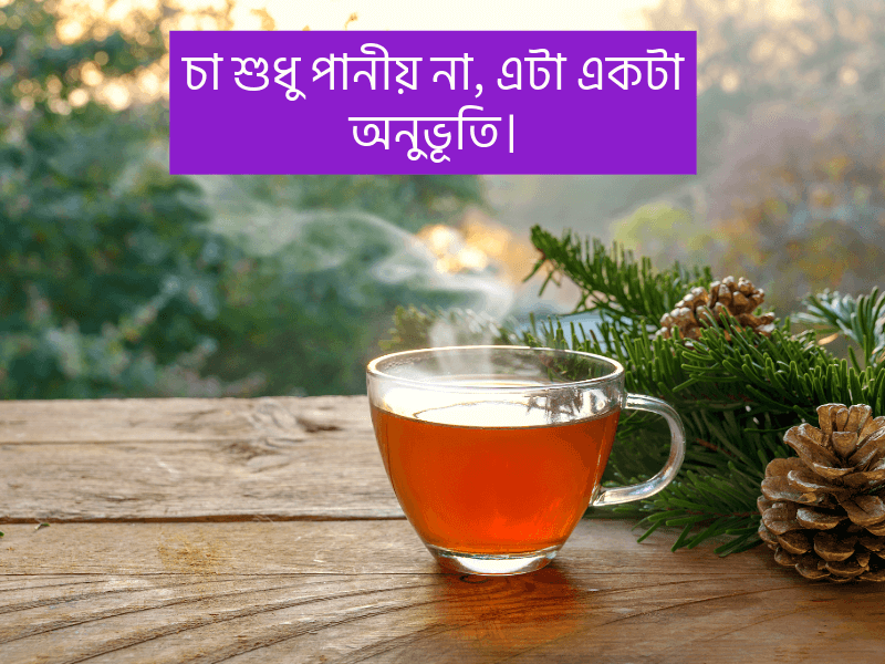 চা-নিয়ে-ছোট-ক্যাপশন
