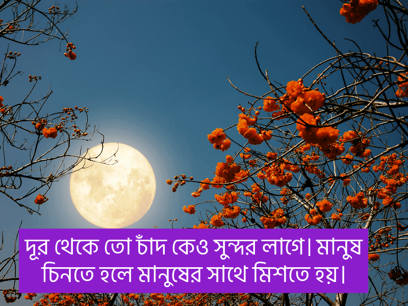 চাঁদ-নিয়ে-ইসলামিক-উক্তি