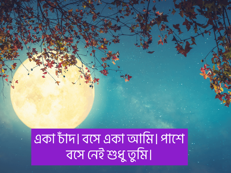 চাঁদ-নিয়ে-ক্যাপশন-বাংলা