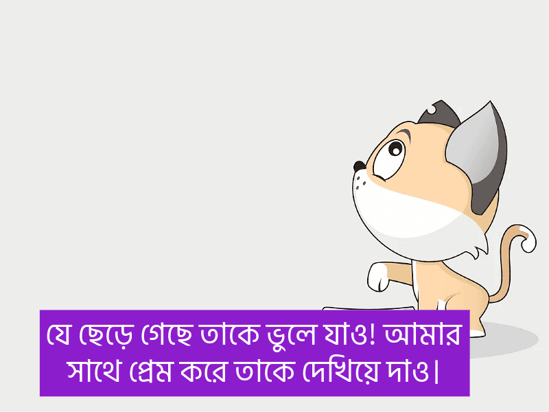 রোমান্টিক-ফানি-ক্যাপশন